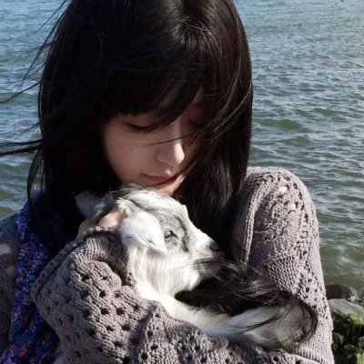 鸡妈鸭仔